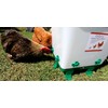 Hen's Choice 5 Gallon Chicken Waterer with 8 Drinker Nipples,
