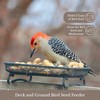 Backyard Essentials Wildlife and Bird Feeder, Deck and Ground Tray