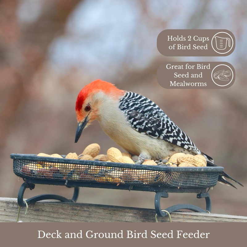 Backyard Essentials Wildlife and Bird Feeder, Deck and Ground Tray