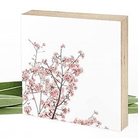 Wunderpixel¬Æ Holzbild Fotografie Zweige mit Bl√ºten - zart-rosa - 15x15x2cm zum Hinstellen/Aufh√§ngen, echter Fotodruck auf Holz - Wand-Bild Aufsteller zur Dekoration/Geschenk-Idee