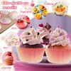 Shyllin Non-Stick Muffin Mould and Pack of 100 Muffin Cases