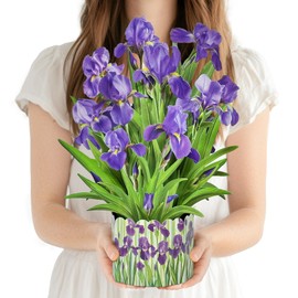 PINELIFE 3D Greeting Cards Pop Up Cards 16" Iris Paper Flower Bouquet Gifts for Women Mom Wife Birthday, Anniversary, Get Well Cards with Note Card & Envelope, Romantic Iris