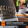 KENDO 29PC Drill Bit Set, 1/16"-1/2" Size 135° Tip HSS