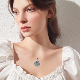 YAFEINI Owl Necklace Gifs for Women 925 Sterling Silver Viking Owl Pendant Necklace Cute Owl Jewellery Gifts for Girls Men (Owl Necklace)