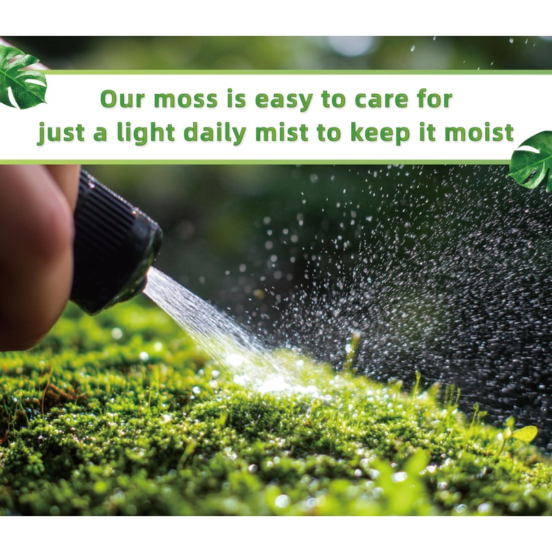 LUCKY PLANT Moss Terrarium Beding Live Moss Terrarium Moss Composite