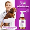Liquid Supplement for Aging Dogs - Comprehensive Joint & Cognitive