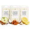 Willow & Wicks Warm Baked Wax Melt Trio – 3