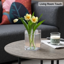 Mgood Pack of 4 Acrylic Pen Holders, Clear Brush Holder Pen Organiser, Multifunctional Pen Holder Desk for Office Supplies, Stationery, Cosmetics, 7 x 7 x 10 cm