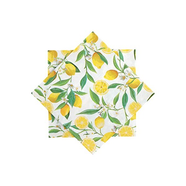 Elinnee 40 Pack, Paper Napkins for Decoupage, 3Ply Floral Cocktail