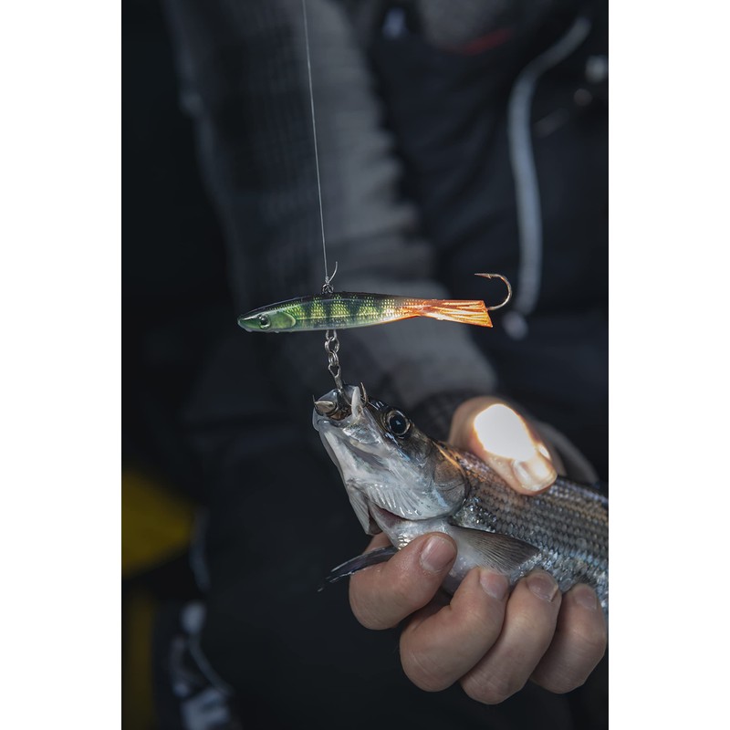 Jigging Shadow Rap 09 Live Perch