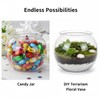1 Gallon Plastic Fish Bowl, Shatterproof Clear Round Goldfish Betta