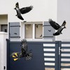 3 BUZZLETT 36 Pack Upgraded Clear PVC Bird Spikes, Keep