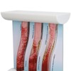 Lipoprotein LDL Blood Vessel Model Low Density Blood Lipid Vessel
