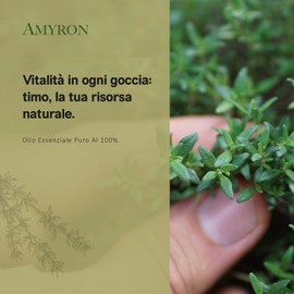 Ätherisches Thymianöl 30 ml AMYRON | Thymus Timolo | Thymus Vulgaris | 100% natürlich und rein | Ideal für Aromatherapie und Ätherische Öldiffusoren | Massagen | Lebensmittelqualität ohne Gentechnik