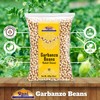 Rani Garbanzo Beans (Kabuli Chana) 14oz (400g) ~ All Natural