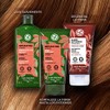 Yves Rocher-Aceite Botánico Capilar con Jojoba Bio Cabello Seco y