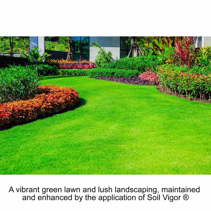 Super Absorbent Polymer Keep Water and Liquid Nutrition for Plants