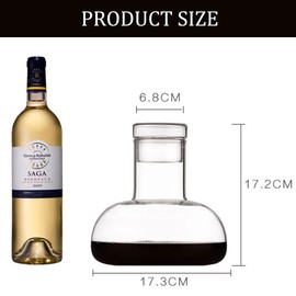 Tamume Wine Aerator Decanter Wine Decanter, Carafe for Wine Champagne Cooler Jugs Wine Decanter Pourer Aerator Mulled Wine Wine Carafe