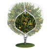 Fruit Tree Netting Covers with Zipper to Protect from Squirrels