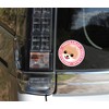 Gazing Pomeranian Orange Dog Sticker Pink Back Round L +