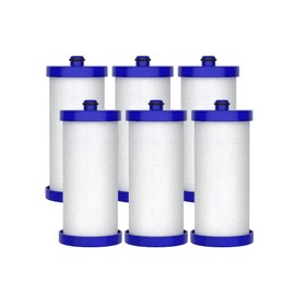 AQUA CREST WF1CB Replacement for Frigidaire® PureSource WFCB®, RG100, NGRG2000, WF284, Kenmore 9910, 469906, 469910 Refrigerator Water Filter (Pack of 6)