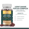 Lion’s Mane Focus Complex Gummies – Blueberry Flavour – 2000mg