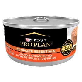 Purina Pro Plan Grain Free Pate Wet Cat Food, Complete Essentials Chicken and Spinach Entree Classic - (Pack of 24) 5.5 oz. Cans