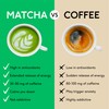PerfectTed Vanilla Matcha Pods | 60 Pods Compatible with Nespresso®