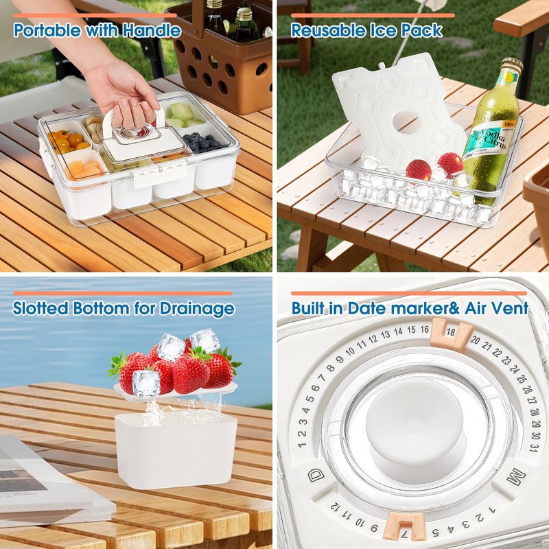 Snackle Box Container with Ice Pack Built In, 8 Compartment
