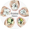 FANTIAN 20 lbs Jade Rocks for Landscaping, 1-2 Inch Decorative