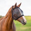 QHP - Maschera anti-mosche per cavalli, zanzariera senza orecchie, per