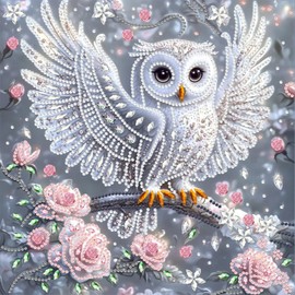 MAXBYE Owl Diamond Painting Kits for Adults, 5D DIY Diamond Art Kits Special Shaped Crystal Diamond Dots, Diamond Painting Gem Arts for Home Wall Decor Gift 12x12 inch