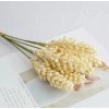 noved 6 Espigas De Grano De Trigo, Artificial, Decoración, Hogar