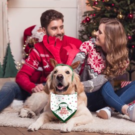 Chritsmas Dog Bandanas 2 Pack Snowflakes and Lamp String Merry Christmas Dogs Scarf Reversible Holiday New Year Puppy Dog Kerchief Pet Gifts