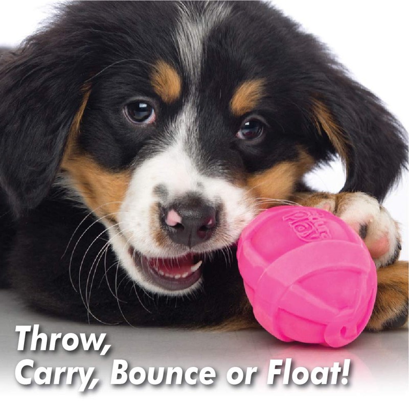 Hartz Dura Play Bacon Scented Rocket Dog Toy, Medium (