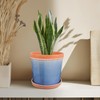 COLOAPT 6 Inch Plant Pots, Ceramic Pots for Plants with