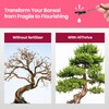 16oz Bonsai Fertilizer Liquid - Makes 96 Gallons of Bonsai