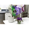 Miracle-Gro African Violet Potting Mix, Added Fertilizer Feeds Up to