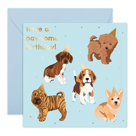 Central 23 — Birthday Card for Her - 'Pawsome Birthday' - Cute Dog Card - Happy Birthday for Friends - Comes With Fun Stickers
