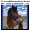 Halter for Horses Coldblood | Halter XXfull, Stable Halter Adjustable
