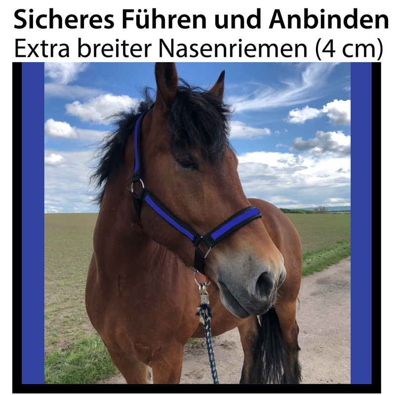 Halter for Horses Coldblood | Halter XXfull, Stable Halter Adjustable