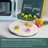 GSM Brands Microwave Flower Press Kit for Drying Leaf, Plant,