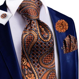 Hi-Tie Mens Silk Ties Lapel Pin Handkerchief Cufflinks Set Striped/Paisley/Floral Necktie Sets Wedding Business Party,Orange Paisley