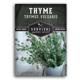 Thyme Seeds for Planting Indoors or Outdoors – English Thyme Seeds (Thymus Vulgaris) for Home Herb Gardens, Pots, and Kitchen Windowsills – Heirloom, Non-GMO – Survival Garden Seeds (1 Pack)