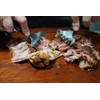 Moesta-BBQ 19231 Stainless Steel Meat Claws - Ideal BBQ Claws