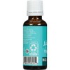 JASON Tea Tree Oil, 1 Ounce Bottle
