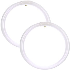 Diodesy- Pack of 2 FC16T9/CW T9 Circline Ceiling Fluorescent Light Bulb, Round Tube Lamp, Long Circular Replacement, 40W, 4100K Cool White, 2600 Lumens, G10Q 4-Pin Base, RoHS Compliant