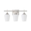 Osimir 3 Light Bathroom Light Fixtures Over Mirror, 21 Inch