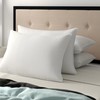 SILUI Flat Soft Thin Pillows for Sleeping King Size Set
