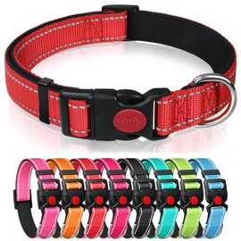 Reflective Nylon Dog Collar with Safety Buckle, Adjustable Pet Collars with Soft Neoprene Padding (Red, S)